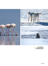 旅游与摄影2024年9月第3期