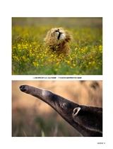 旅游与摄影2024年9月第3期