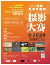 旅游与摄影2024年9月第3期