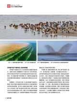 旅游与摄影2024年9月第3期