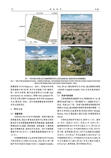 林业科学2025年9月第9期