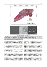 林业科学2025年9月第9期