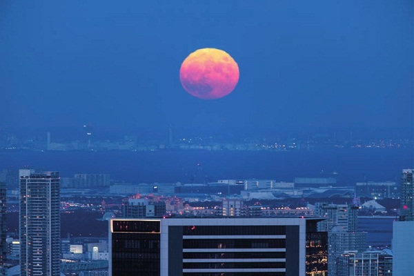 青岛画报·新青岛