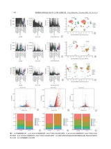 骨科临床与研究杂志2025年11月第6期