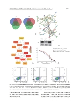 骨科临床与研究杂志2025年11月第6期
