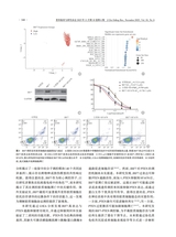 骨科临床与研究杂志2025年11月第6期