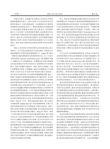 系统工程与电子技术2025年10月第10期