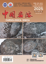 中国岩溶2025年2月第1期