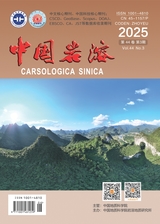 中国岩溶2025年6月第3期