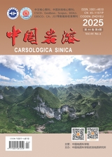 中国岩溶2025年8月第4期