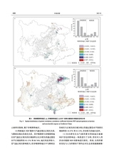 中国岩溶2025年8月第4期