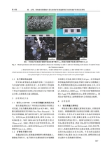 地质与勘探2024年9月第5期