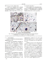 地质与勘探2025年9月第5期