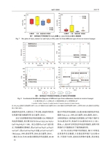 地质与勘探2025年1月第1期