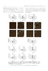 毒理学杂志2025年4月第2期