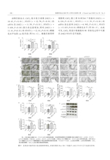 毒理学杂志2025年4月第2期