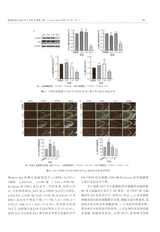 毒理学杂志2025年4月第2期
