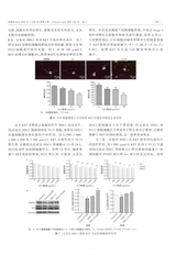 毒理学杂志2025年4月第2期
