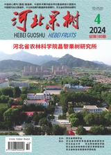 河北果树2024年12月第4期