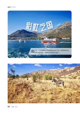 爱你·健康读本2020年11月第11期
