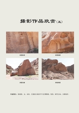 参花·中旬刊2025年10月第10期