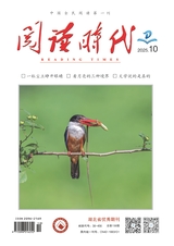 阅读时代2025年10月第10期