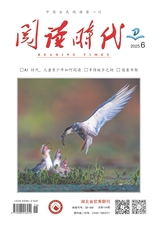 阅读时代2025年6月第6期