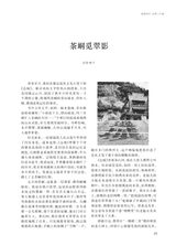 阅读时代2025年7月第7期