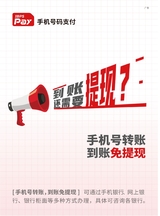 海南金融2025年6月第6期