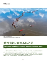 走向世界2025年8月第31期