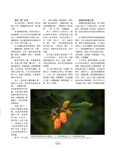 走向世界2025年8月第31期