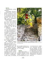 走向世界2025年8月第31期