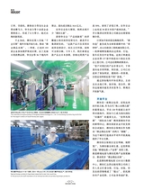 走向世界2025年7月第30期