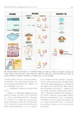 眼科2025年5月第3期