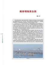 时代报告2025年5月第5期