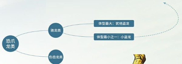 e084d83d3ea118e53ddb7b6ba0b35afc.jpg
