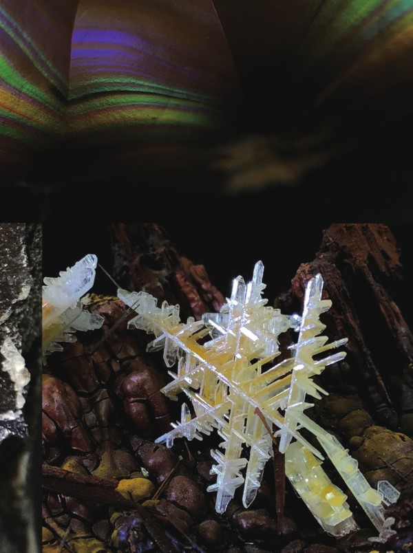 f4d563efbd0782f1f719744e5fa8cb78.jpg
