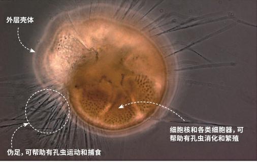 aeb769cc28e4017ace2423b1a2211a0a.jpg