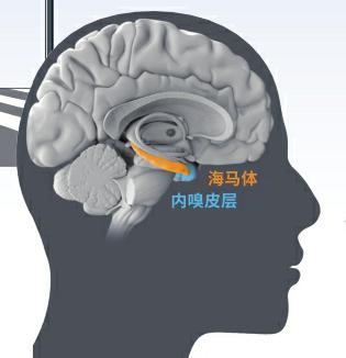 8650b56f3bd2f77ca3b7508414bfcd82.jpg