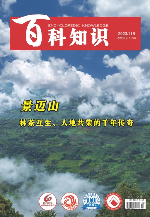 百科知识