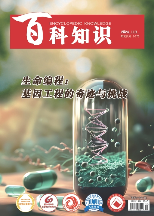 百科知识