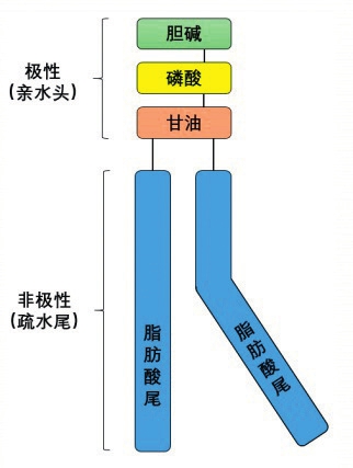 00f417f7fcddaec22d7be7fef0d1fcb9.jpg