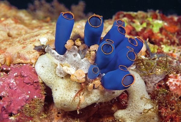 14755e5156611ed58d317092e434ad3c.jpg