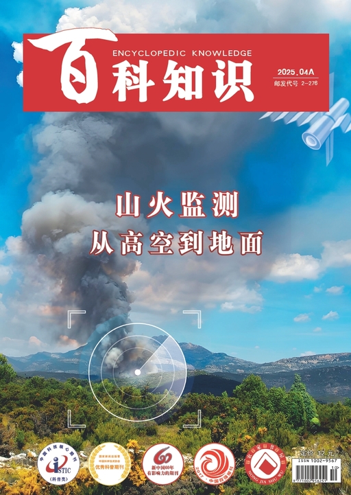 百科知识