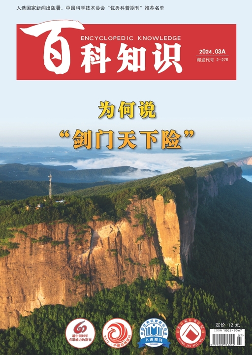 百科知识