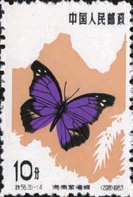 ac705bc1aac9d4ee36b01965117959c9.jpg